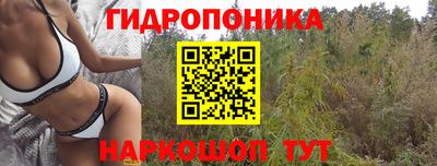 ПСИЛОЦИБИНОВЫЕ ГРИБЫ Обь
