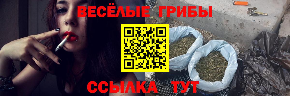 купить наркоту  Вход с VPN  Реутов  Псилоцибиновые грибы мицелий 